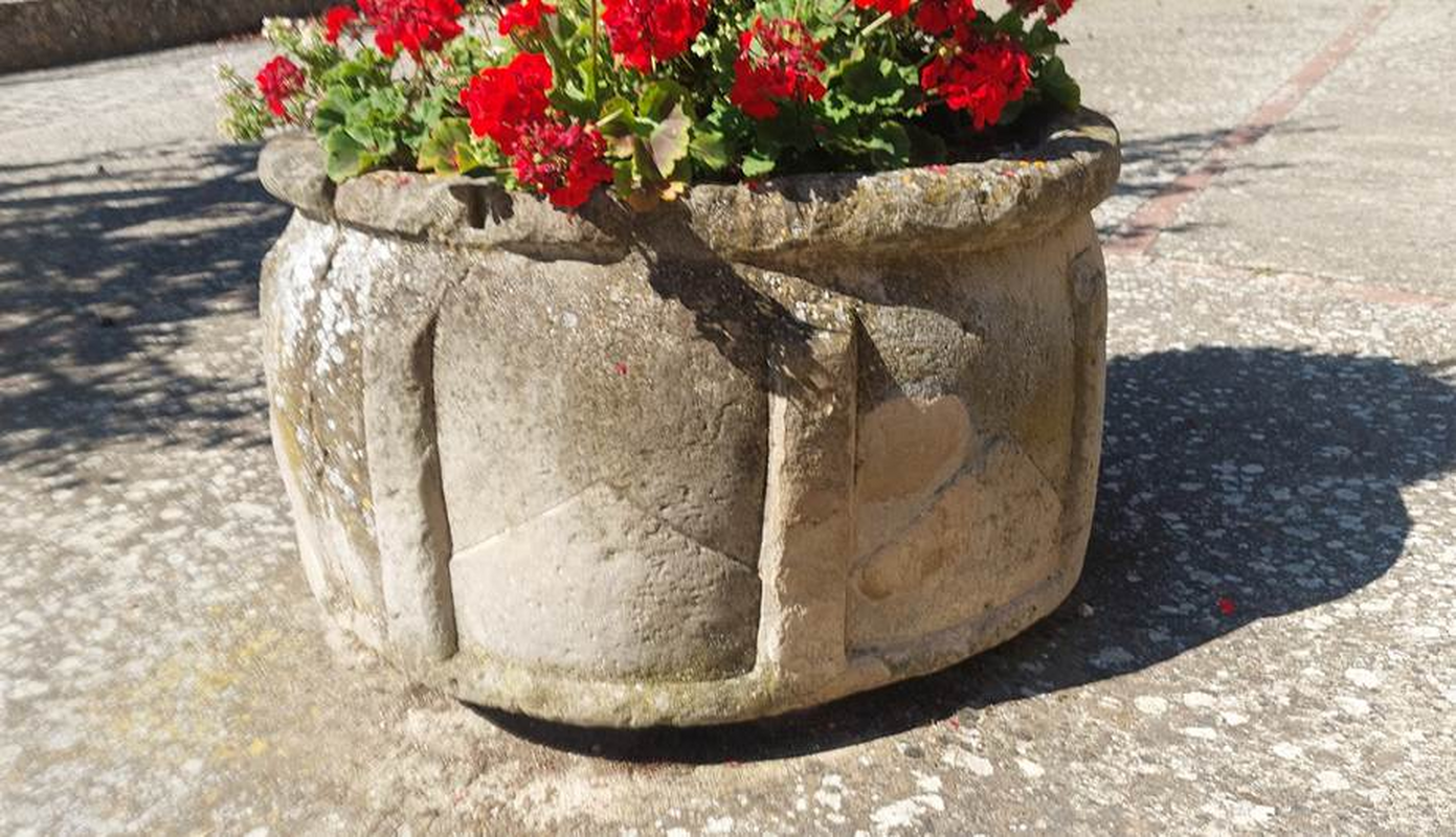 Main image for Abaiz / Abáiz / Abaiz de Lerga