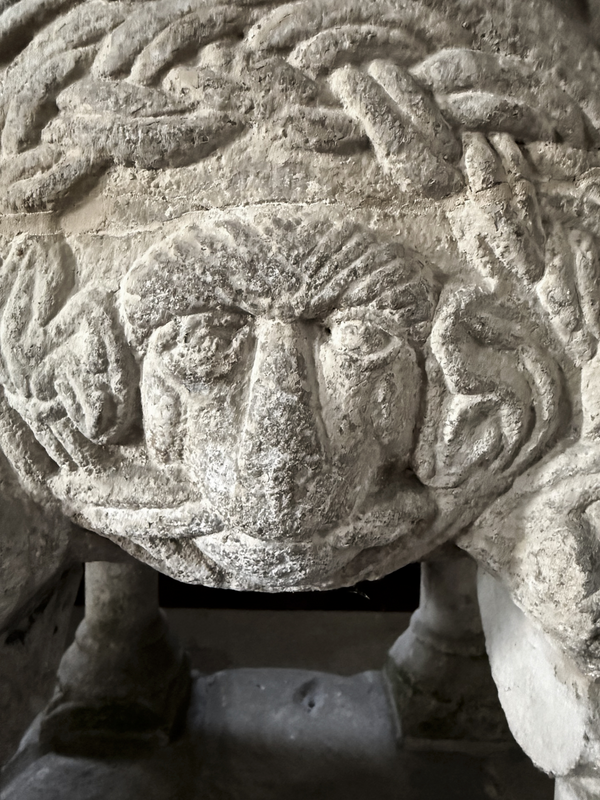 with a 2-strand braid framing it 