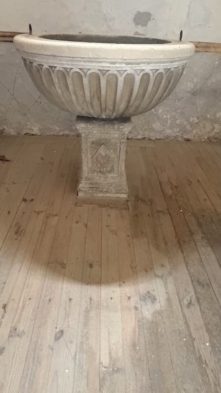 Main image for Vicuna / Bikuña / Vicuña