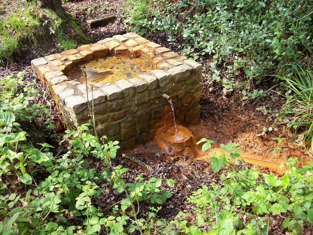 "The Holy Well at Bisley. This is the source of the spring at Bisley which forms the Holy Well of St John the Baptist. Originally used by the Abbey at Chertsey, (now defunct), as a source of Holy Water. "