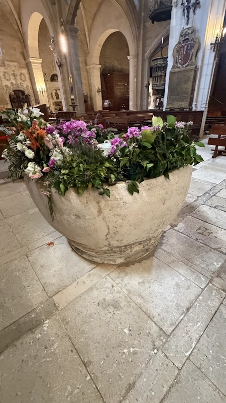 Main image for Burgos No. 16