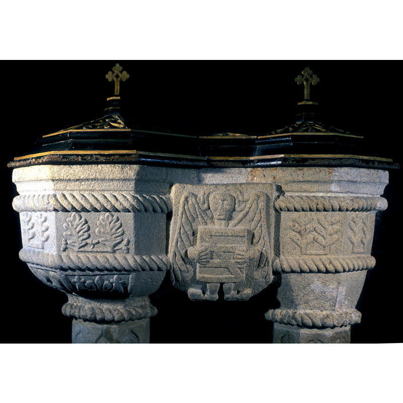 2-leaf motif