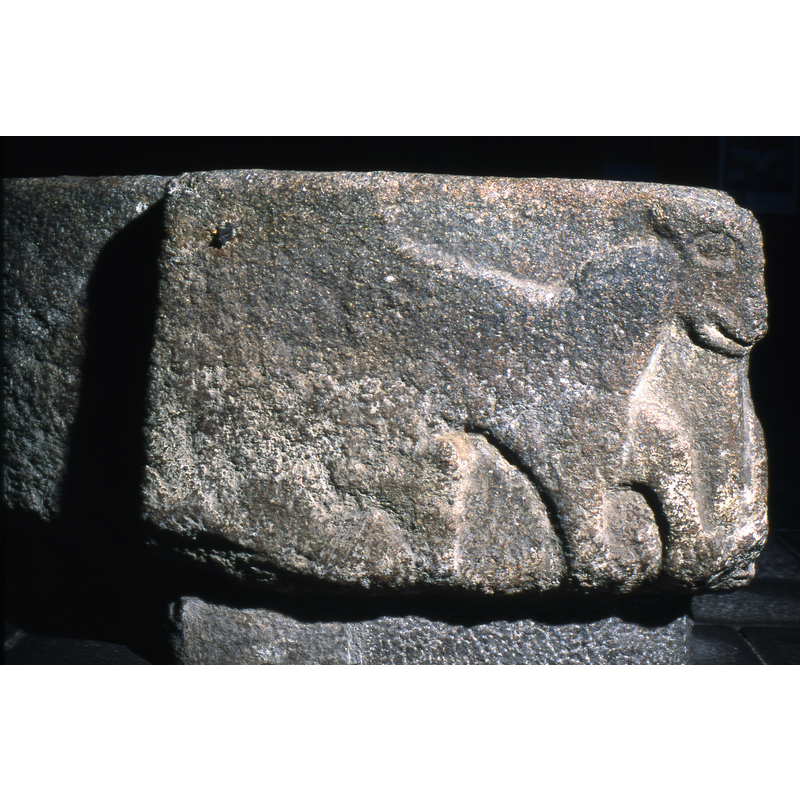 N side of the font: this animal shares part of the head at the corner with the one from the other side, but on this north side of the font it does not look like a lion, nor does it have the characteristic lion tail