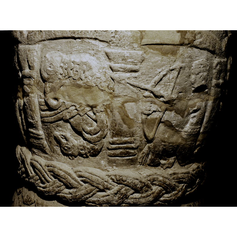 the arrow pointed across to the animals on the left