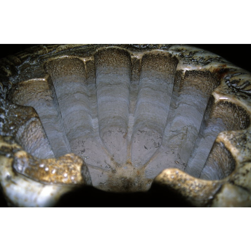 the centre drain is blocked