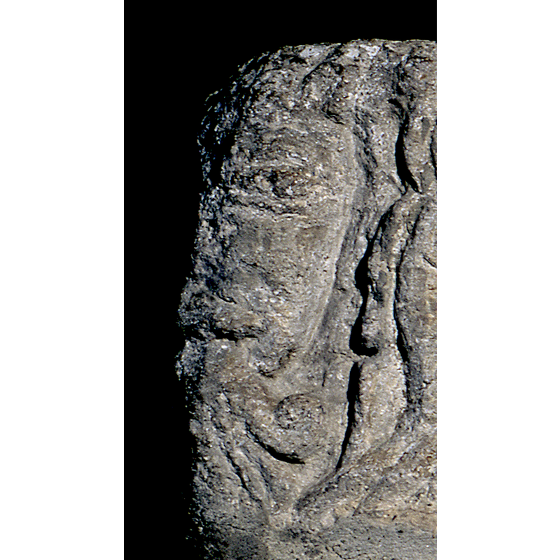 one such at each angle of the basin; too eroded to determine whether animal or human, a couple of them look feline but the other two do not