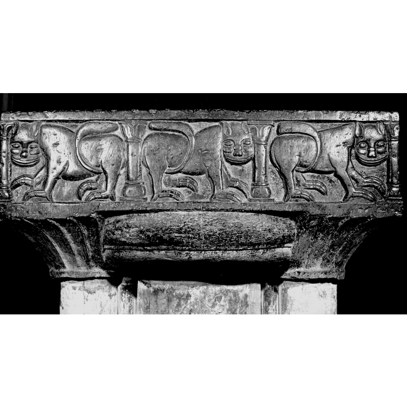 From the left: lion facing left, two others facing right