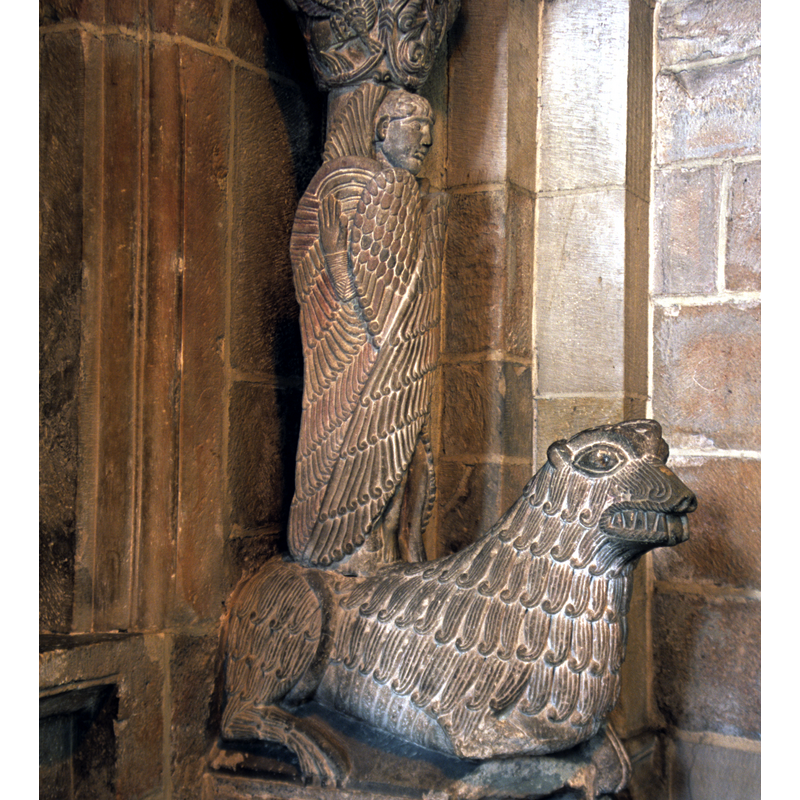 stylophore lion
