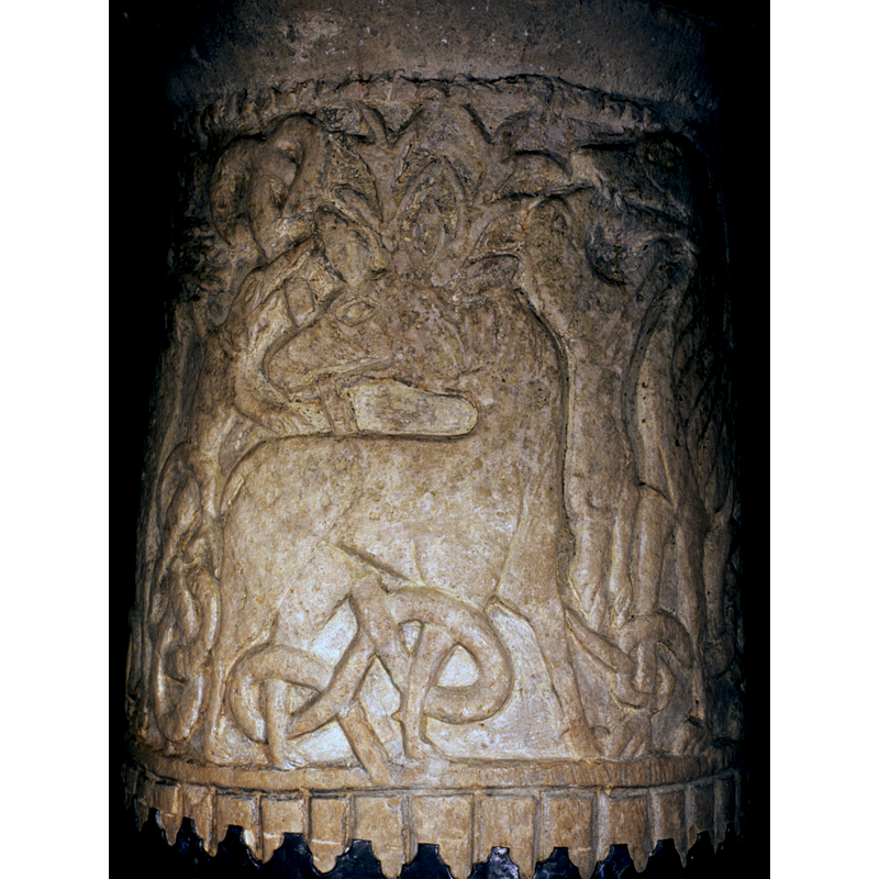 reversed image
