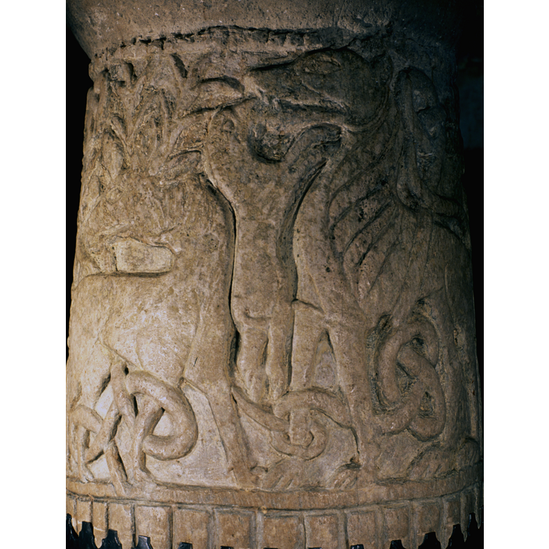 reversed image