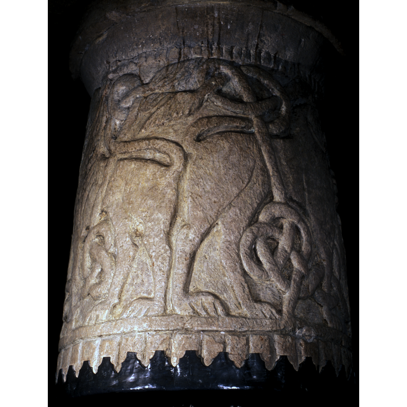 reversed image
