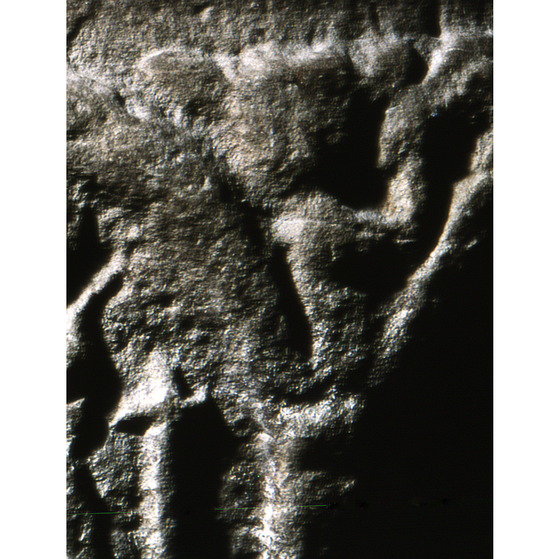 the elements that decorate the spandrels of the arcade are badly damaged and eroded, but some outlines are still discernible enough to make out their identities: this one appears to be the torso of a bear (?) holding up and object