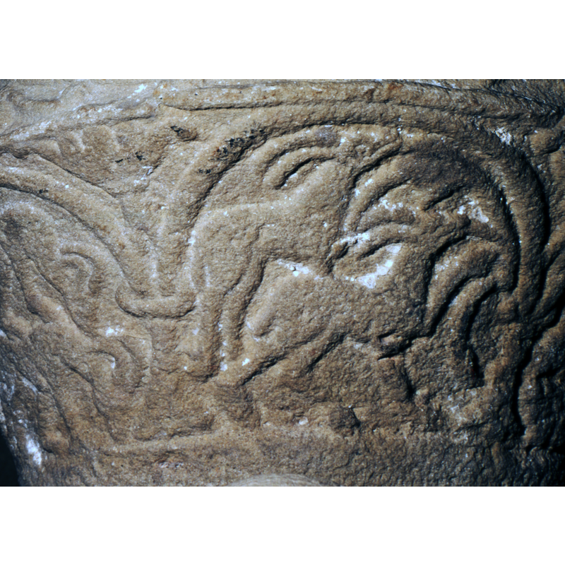 Two goat like creatures, copulating.