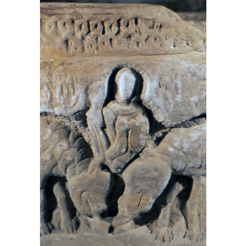 the friendly lions lick the prophet's feet
