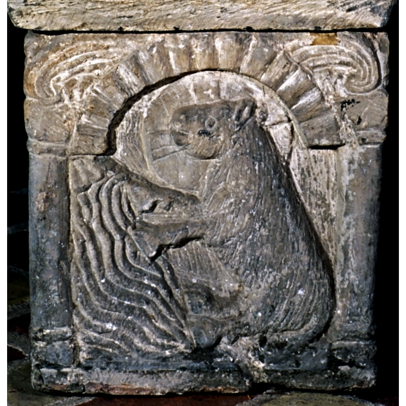 the identification is helped by the cruciferous halo; otherwise a beaver building a dam?