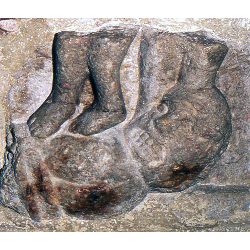 Adam's feet above an ugly devil lying supine