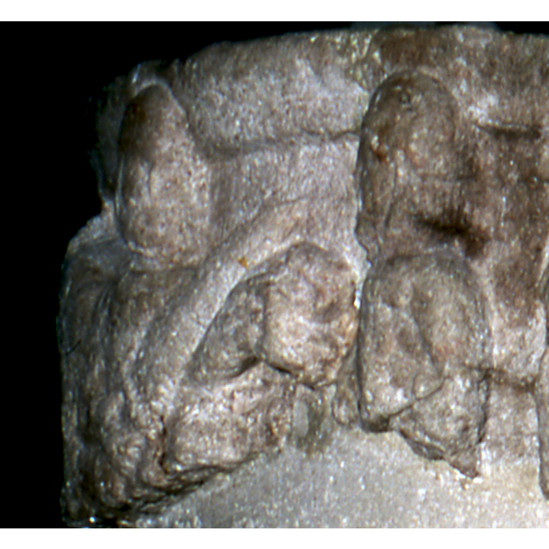 the horse is not visible in this image but the saint, the big sword and the beggar are, partially