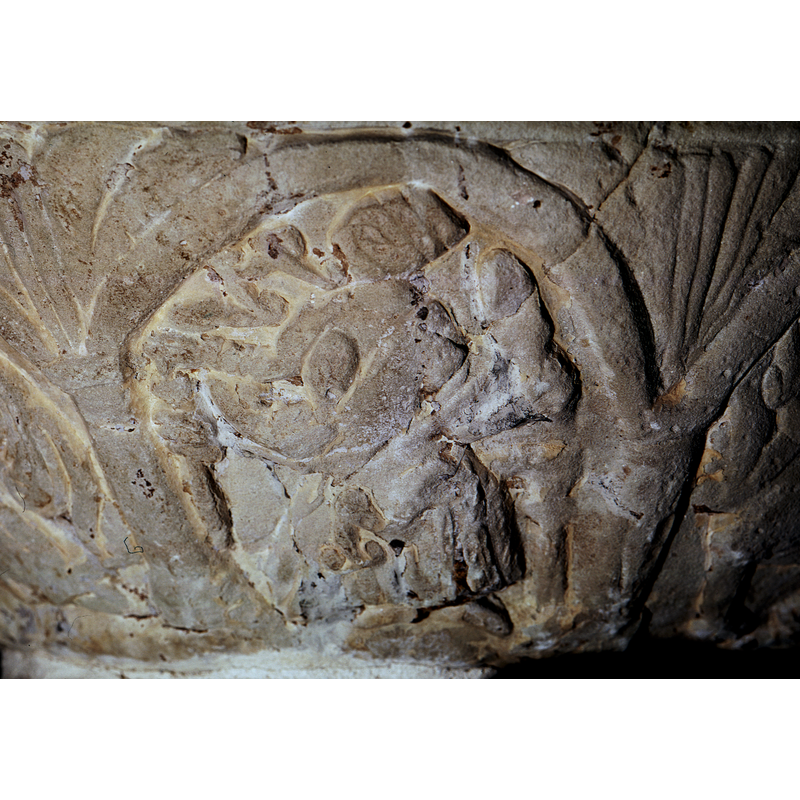 Shows a woman spinning; in her right hand is the spindle with the thread running above and behind her head and leading over to the left hand which holds the wool (?); she wears a sling type of holder with possibly an infant in it; she could be seated/enthroned. Or, is she a Zodiac sign? the Virgin? Eve?) She has no halo, but what appears to be a cap or coiffed hair.  Roosval (1918) suggests the Labours of Hercules for scenes 2-3-4 of the underbowl