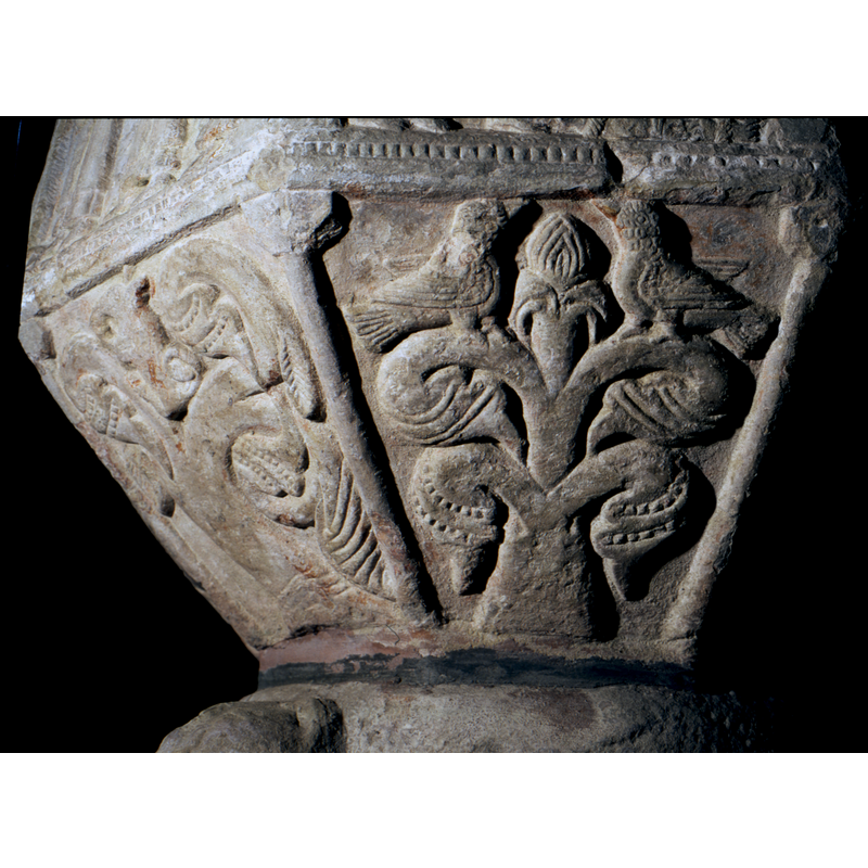 A tree with two birds, sitting on the top.