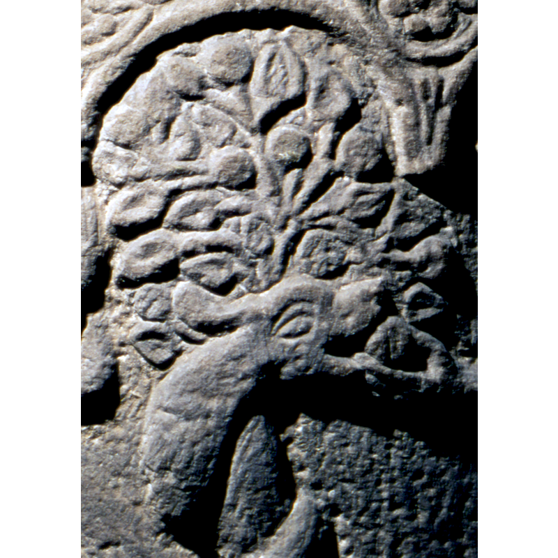 the serpent delivers the fruit in her mouth to Eve's hand